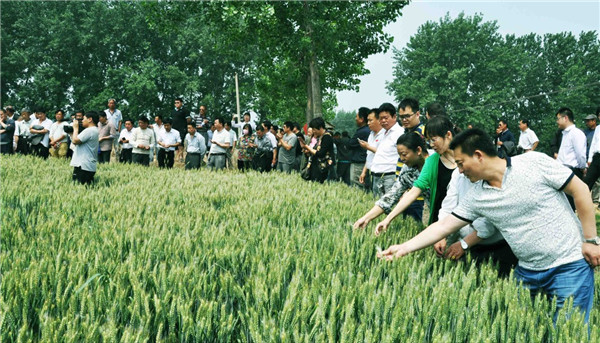 乐天堂fun88·(中国集团)官方网站