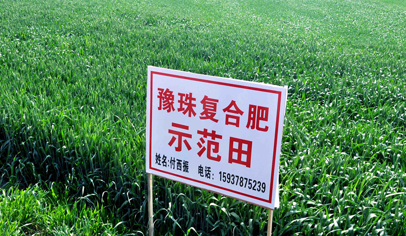 乐天堂fun88·(中国集团)官方网站