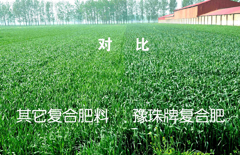 乐天堂fun88·(中国集团)官方网站