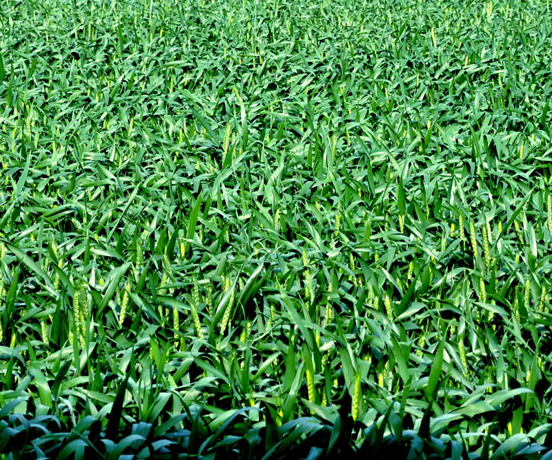 乐天堂fun88·(中国集团)官方网站