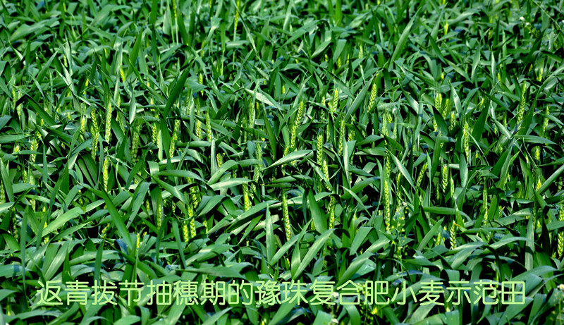 乐天堂fun88·(中国集团)官方网站