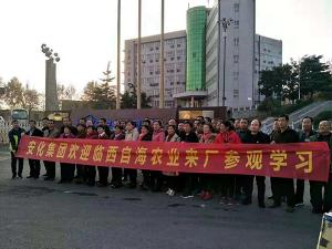 河北邢台市临西县100多位农资朋侪来安化集团·乐天堂fun88肥业旅行考察！