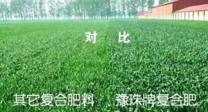 天下500强企业：：：50年迈国企乐天堂fun88肥料会语言！