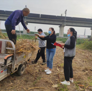 乐天堂fun88肥业小麦底肥：：：深入一线州里，助力农户丰收